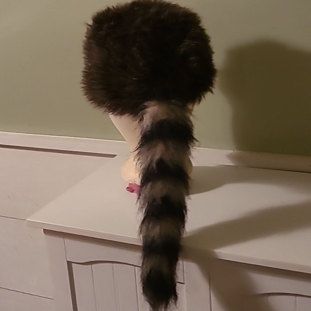 Coonskin Cap - Picture 4 of 6
